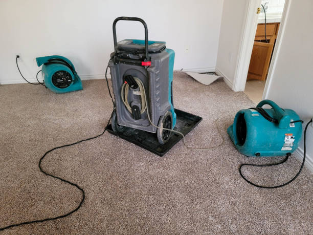 Best Flooded house restoration  in Eastlawn Gardens, PA