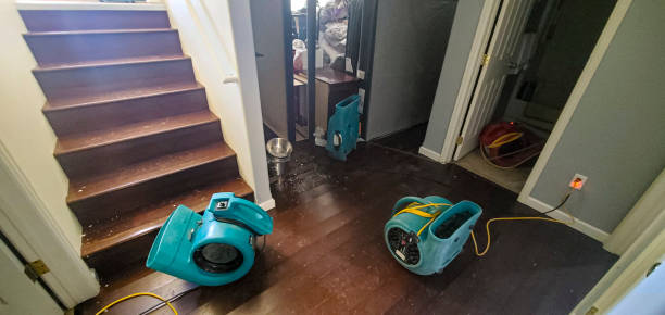 Best Fire Damage Restoration  in Eastlawn Gardens, PA