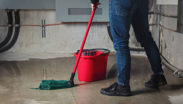 Best Local water damage restoration  in Eastlawn Gardens, PA