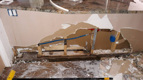 Best Ceiling water damage repair  in Eastlawn Gardens, PA