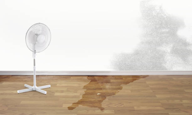 Best Fire Damage Restoration  in Eastlawn Gardens, PA