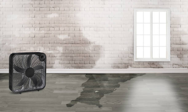 Best Water damage contractors near me  in Eastlawn Gardens, PA