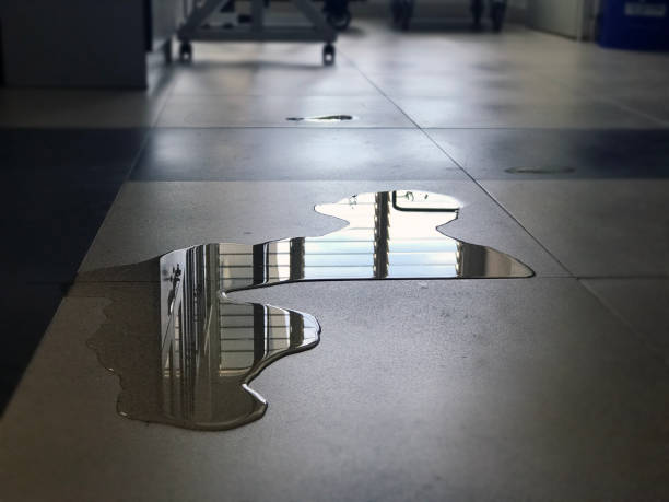 Best Water damage restoration near me  in Eastlawn Gardens, PA