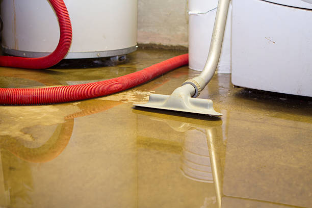 Best Emergency water damage restoration  in Eastlawn Gardens, PA