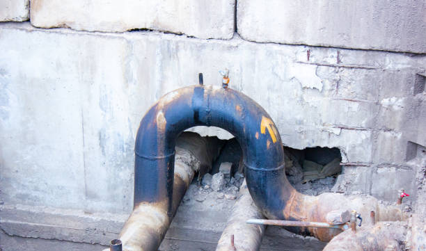 Best Flood damage cleanup  in Eastlawn Gardens, PA