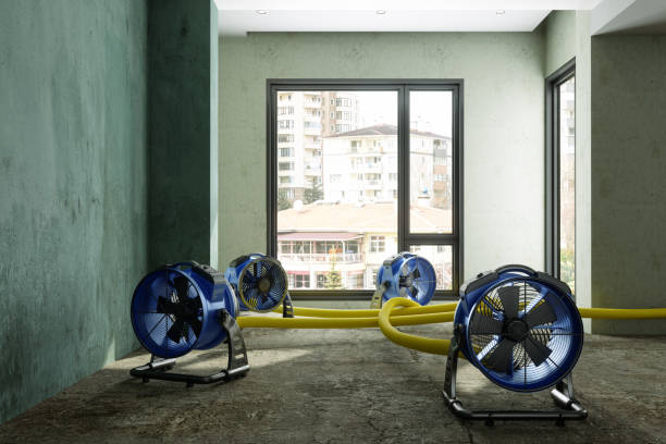 Best Water damage restoration near me  in Eastlawn Gardens, PA